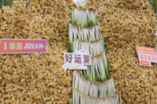 2025中國?濟(jì)南(萊蕪)第十二屆國際姜產(chǎn)業(yè)博覽會(huì)開幕